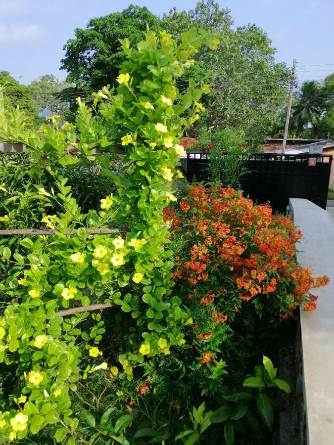 Golden Residence Anuradhapura Dış mekan fotoğraf